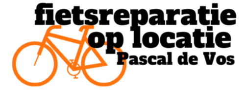 Fiets reparatie op locaite